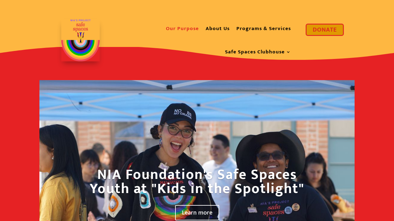 Safe Spaces Youth website preview